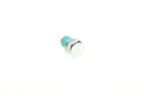 Болт зливу оливи VW Caddy III/T4/T5/T6/Crafter (M14 x 1.5) AIC 51791