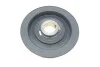 Шків колінвалу Opel Astra G/Vectra B 2.0/2.2 CDTI (6PK) AIC 55555 (фото 2)