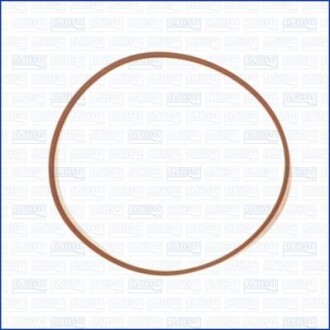 Прокладка впускного коллектора AJUSA 24028700