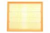 Фільтр повітряний Ford Scorpio/Sierra/Granada 2.0-2.9 85-94 ALPHA FILTER AF1607 (фото 1)