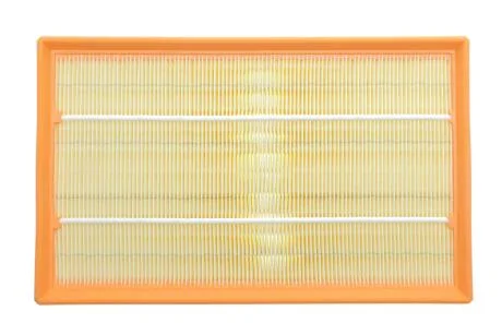 Фільтр повітряний VW T5 1.9TDI/2.0/BiFuel/TDI/TSI/2.5TDI/3.2 V6 03-15/VW T6 2.0TDI/TSI 15- ALPHA FILTER AF1656