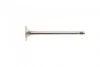 Клапан (випуск) Opel Astra F/G/Vectra A/B/Zafira A 1.4/1.6 95-05 (27.5x6x102.2) (азотований) AMP POPE004-A-0-N (фото 2)