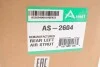 Амортизатор (задній) MB S-class (W221) 05-13 (L) (Airmatic DC) ARNOTT AS-2604 (фото 7)