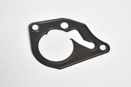 Прокладка насоса вакуумного Renault Logan 1.2i (12 ASAM 55046