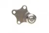 Опора кульова (передня/знизу) Citroen Berlingo/Peugeot Partner 96- (d=16mm) ASMETAL 10CT0100 (фото 4)