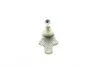 Опора кульова (передня/знизу) Ford C-max 07-10/Focus II 04-12 ASMETAL 10FR1705 (фото 4)