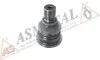 Опора кульова (передня/знизу) Nissan Qashqai/Renault Kadjar/Koleos 07- ASMETAL 10NS1000 (фото 2)