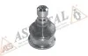 Опора кульова (передня/знизу) Renault Megane II/Scenic 02- (d=16mm) ASMETAL 10RN5540 (фото 2)