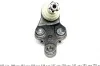 Опора кульова (передня/знизу/R) Lexus RX 03-08/Toyota Camry 01-11 ASMETAL 10TY1011 (фото 3)