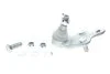 Опора кульова (передня/знизу/L) Toyota Camry 2.4-3.5 06- ASMETAL 10TY1050 (фото 1)