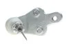 Опора кульова (передня/знизу/L) Toyota Camry 2.4-3.5 06- ASMETAL 10TY1050 (фото 3)