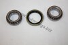 Wheel bearing set AUTOMEGA 110013810 (фото 1)