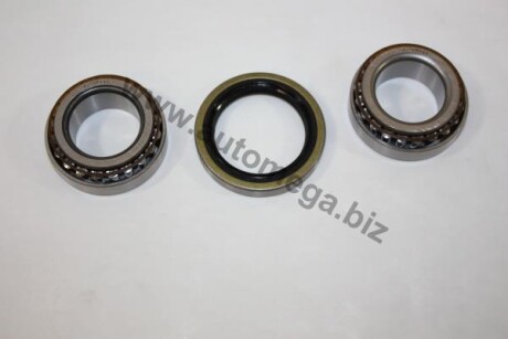 Wheel bearing set AUTOMEGA 110013810