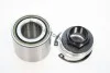 Wheel bearing set AUTOMEGA 110131810 (фото 1)