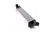 Интеркулер AVA COOLING HY4489 (фото 1)