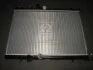 Радіатор, Система охолодження двигуна AVA COOLING PE2300 (фото 1)