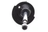 Амортизатор (передній) Peugeot 207/Citroen C3 1.4/1.6HDi/VTi 06- (L) (B4) BILSTEIN 22-183828 (фото 4)