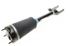 Модуль воздуха BILSTEIN 44-165062 (фото 1)