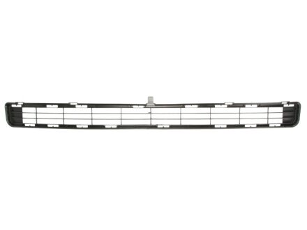 Решетка бампера переднего BLIC 6502-07-8179995P