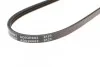 Ремінь генератора Chevrolet Matiz/Spark 0.8 05- / Ford Maverick 3.0 01- / Mazda Tribute3.0 00-08 Blue-print AD03R682 (фото 3)