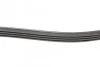 Ремінь генератора Renault Clio/Kangoo 1.4i/1.6 98-03/ Toyota Land Cruiser 4.2 98-07 Blue-print AD04R1240 (фото 2)