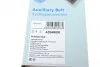 Ремінь генератора Nissan Primera/ Chevrolet Matiz 1.0-2.0 96-/ Suzuki Liana 1.3-1.6 02- Blue-print AD04R830 (фото 6)