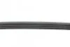 Ремінь генератора Fiat Doblo 1.2i 01-/ Chevrolet Aveo 1.2 08-/ Spark 1.0-1.2 10- Blue-print AD04R840 (фото 2)