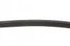Ремінь генератора Hyundai Accent 1.3-1.5 00-05/Subaru Forester/Impreza 1.5-2.5 95-09 Blue-print AD04R903 (фото 2)