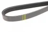 Ремінь генератора Renault Kangoo 1.4i 97-/ Mitsubishi L 300 2.0 86-04/ Hyundai Santamo 2.0 99-02 Blue-print AD04R995 (фото 3)