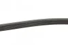 Ремінь генератора Mazda 323/ 626/ Opel Astra G/ Vectra B/C/ Premacy 1.8-2.2 97-08 Blue-print AD05R1030 (фото 2)