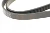 Ремінь генератора Mazda 323/ 626/ Opel Astra G/ Vectra B/C/ Premacy 1.8-2.2 97-08 Blue-print AD05R1030 (фото 3)