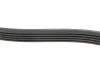 Ремінь генератора Renault Kangoo/ Modus 1.4-1.6 04-/ Toyota Avensis/ Corolla 2.0 99-03 (5PK1135) Blue-print AD05R1135 (фото 2)