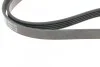 Ремінь генератора Renault Kangoo/ Modus 1.4-1.6 04-/ Toyota Avensis/ Corolla 2.0 99-03 (5PK1135) Blue-print AD05R1135 (фото 3)