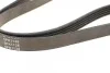 Ремінь генератора Peugeot 605 2.0 89-99/ Ford Fiesta1.8 95-03/ Honda Civic/ Fit/ Jazz 1.2-1.4 02- Blue-print AD05R1138 (фото 3)