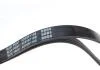 Ремінь генератора Fiat Palio 1.2 97-/Land Rover Freelander 1.8i 98-06/ Toyota Corolla 2.0 D-4D 97-04 Blue-print AD05R1188 (фото 2)