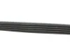 Ремінь генератора Renault Kangoo 1.2 97-/ Mitsubishi Colt/ Smart Forfour 1.1-1.5 04-12 Blue-print AD05R915 (фото 2)