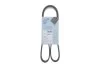 Поликлиновый ремень 6PK1170 Blue-print AD06R1170 (фото 2)