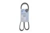 Поликлиновый ремень 6PK1212 Blue-print AD06R1212 (фото 2)