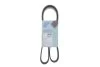 Поликлиновый ремень 6PK1237 Blue-print AD06R1237 (фото 2)