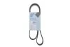 Поликлиновый ремень 6PK1245 Blue-print AD06R1245 (фото 2)