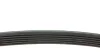 Ремінь генератора Hyundai i30/ Tucson/ ix20 1.4i-1.6 07-/ Kia Cee\'d/Picanto/ Soul 1.0-1.6 06- Blue-print AD06R1255 (фото 2)