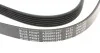 Ремінь генератора Hyundai i30/ Tucson/ ix20 1.4i-1.6 07-/ Kia Cee\'d/Picanto/ Soul 1.0-1.6 06- Blue-print AD06R1255 (фото 4)