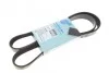 Ремінь генератора Fiat Punto/Opel Combo/ Corsa/ Agila 1.3 CDTI 03-/ Suzuki Swift 1.3 DDiS 05- Blue-print AD06R1318 (фото 1)