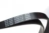 Ремінь генератора Fiat Punto/Opel Combo/ Corsa/ Agila 1.3 CDTI 03-/ Suzuki Swift 1.3 DDiS 05- Blue-print AD06R1318 (фото 2)