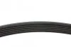 Ремінь генератора Ford Connect 1.8D/TDCi 02-/ Opel Combo 1.2-1.4i -01/ Honda Accord/ Civic 2.0 96-02 Blue-print AD06R1460 (фото 2)