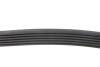 Ремінь генератора VW LT 2.5TDI -06/T4 2.5 91-03/Ford Connect 1.8 TDCi 02-07/ Opel Astra 1.7 07- Blue-print AD06R1718 (фото 2)