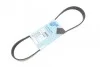 Ремінь генератора Citroen Berlingo/Peugeot Partner 1.6HDI/ Ford Fiesta/ Focus 1.4-1.6 TDCi 01- Blue-print AD06R805 (фото 1)