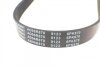 Поликлиновый ремень 6PK870 Blue-print AD06R870 (фото 4)
