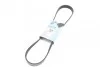 Ремінь генератора Citroen Berlingo/VW Golf III 1.4-2.0i 91-/ Ford Fiesta/ Focus 1.4-1.6 TDCi 03- Blue-print AD06R975 (фото 1)