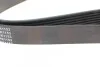 Ремінь генератора Renault Master/Opel Movano 2.5 dCi 03- (-AC) Blue-print AD07R1153 (фото 3)